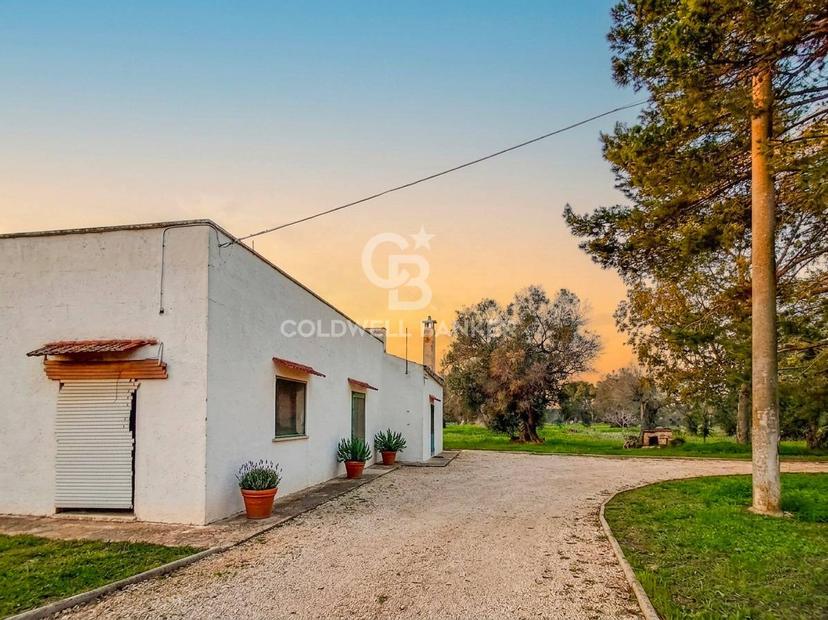 Rustico in Contrada Serranova Snc, Carovigno — foto 2 di 5