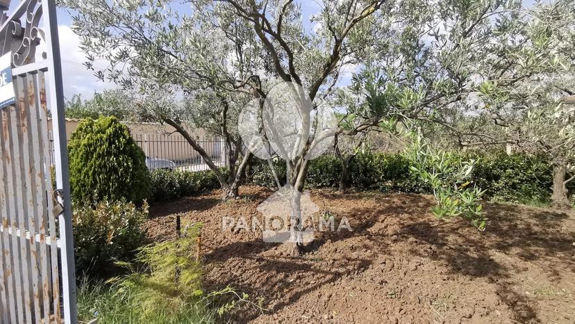 Villa in Agriturismo Margi Soprano - Menù Fisso - Grigliata - Aperti Sabato E Domenica a Pranzo, Partinico — foto 3 di 5