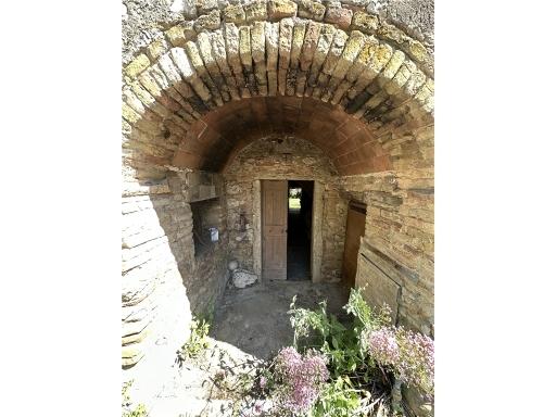 Rustico, San Gimignano — foto 4 di 5