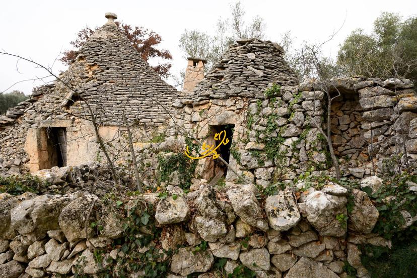 Abitazione tipica in Contrada Montedoro, Noci — foto 2 di 5