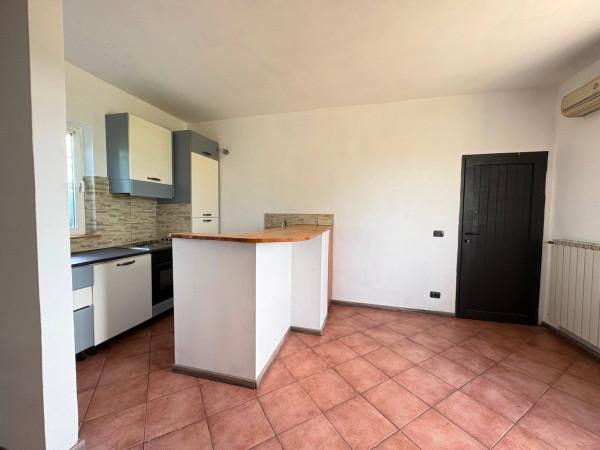 Terratetto unifamiliare, San Giorgio Piacentino — foto 2 di 5