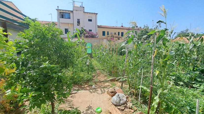 Appartamento, Rosignano Marittimo — foto 5 di 5