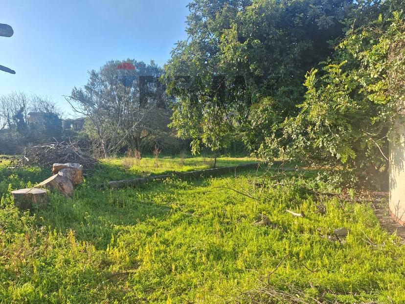Villa in Via Vecchiuzzi 6, Aci Bonaccorsi — foto 3 di 5