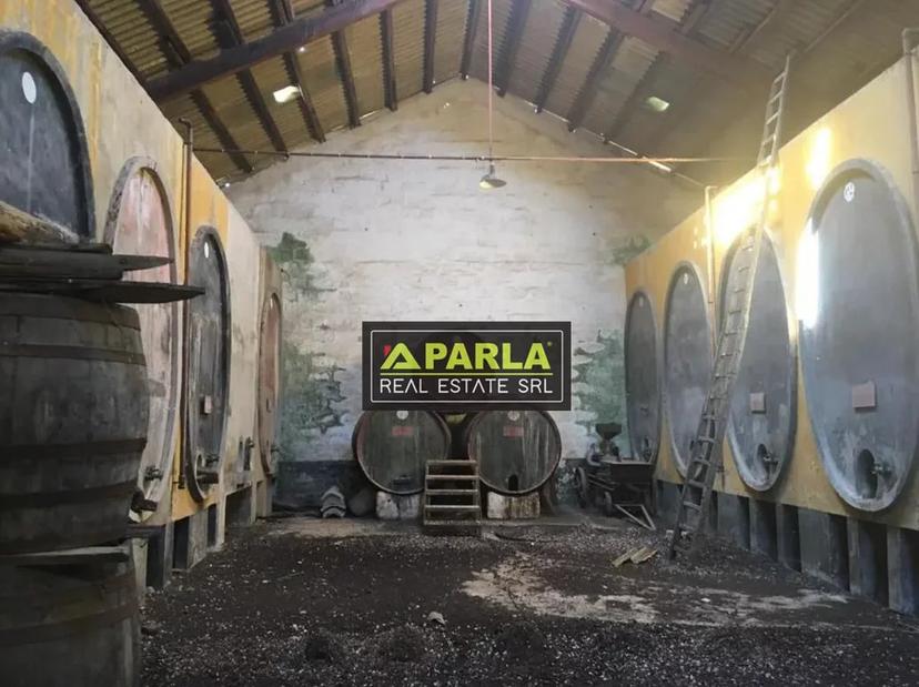 Baglio in Campobello di Mazara, Campobello di Mazara — foto 2 di 5