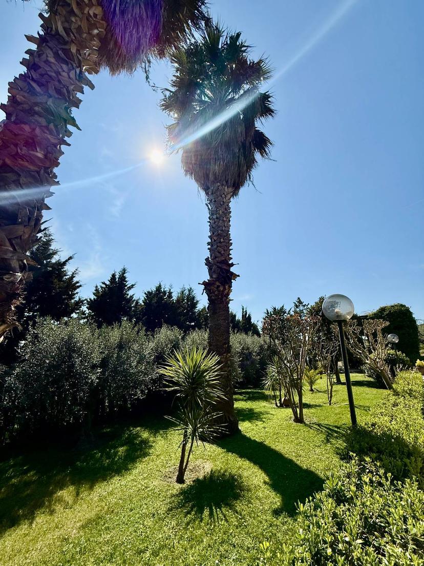 Rustico in Contrada Tesino 265, Offida — foto 5 di 5