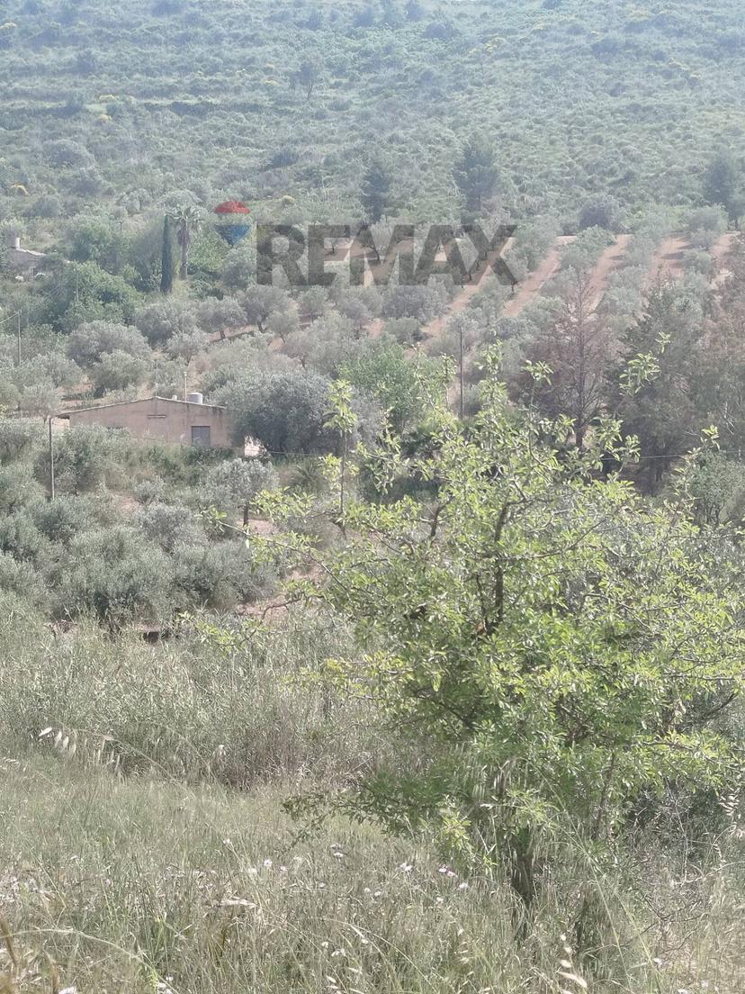 Villa in Via Venanzio Marvuglia Snc, Caltagirone — foto 4 di 5
