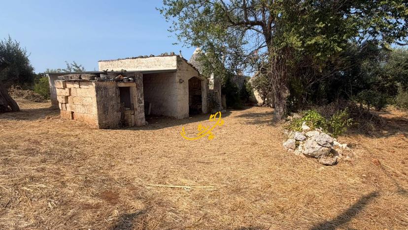 Abitazione tipica in Contrada Centrone Piccolo, Castellana Grotte — foto 2 di 5