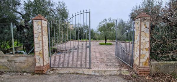 Villa, Trani — foto 3 di 5