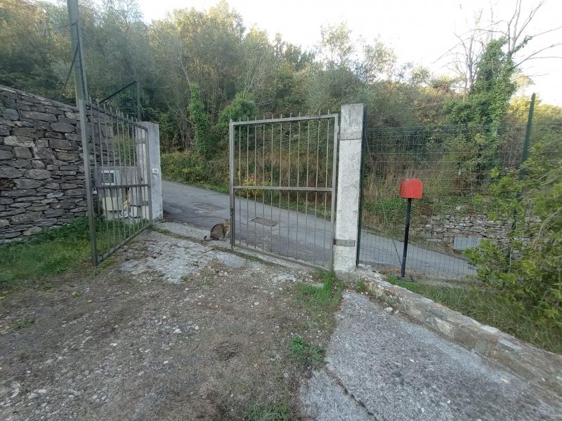 Casa indipendente in Strada  Olivastri, Lucinasco — foto 2 di 5