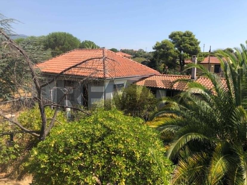 Villa in Via Rapisarda 45, Pedara — foto 4 di 5