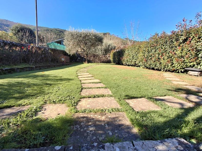 Rustico, Capannori