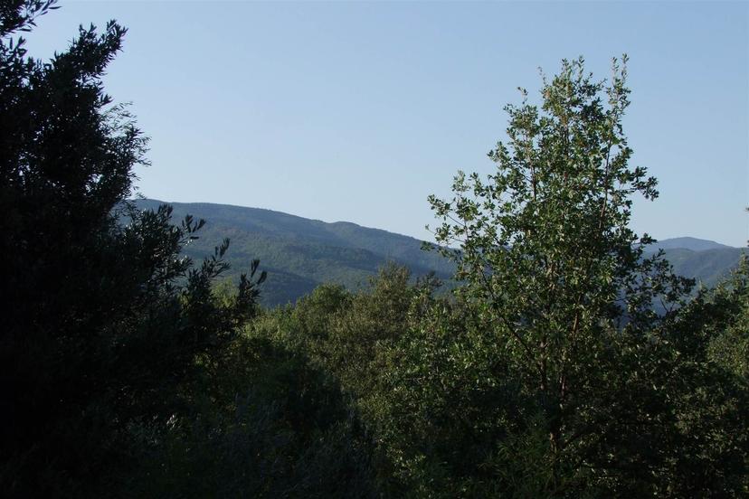 Villa, Londa — foto 3 di 5