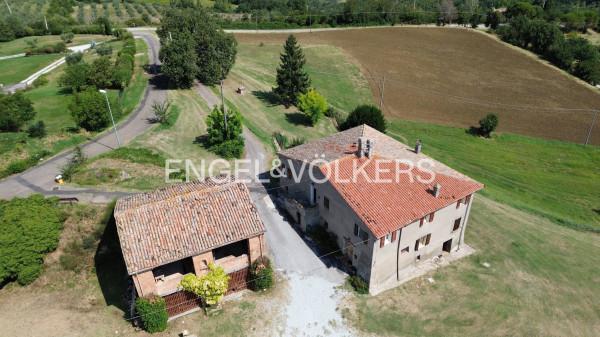 Casa colonica in Via Montecchio Alta 11, Borghi — foto 2 di 5