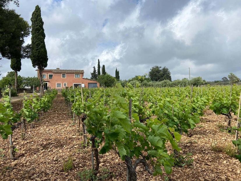 Villa, Chiaramonte Gulfi — foto 3 di 5