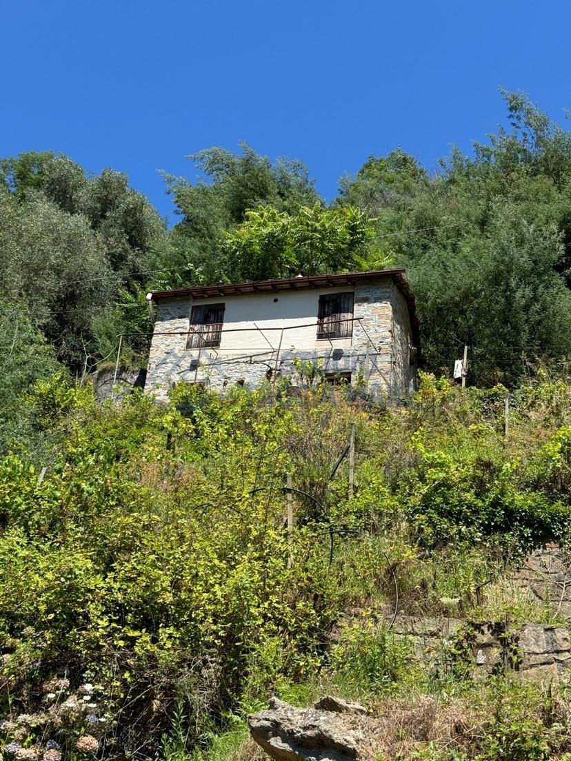 Rustico in Regione Ortai, Badalucco — foto 2 di 5