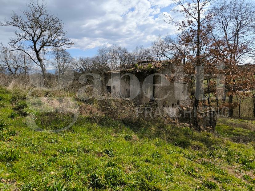 Rustico in Località Loiano Snc, Gallese — foto 4 di 5