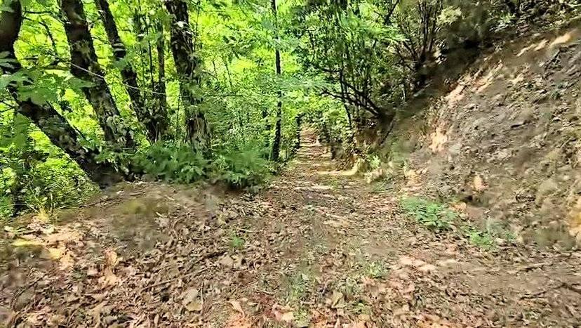 Rustico in Località Pereti, Roccastrada — foto 4 di 5