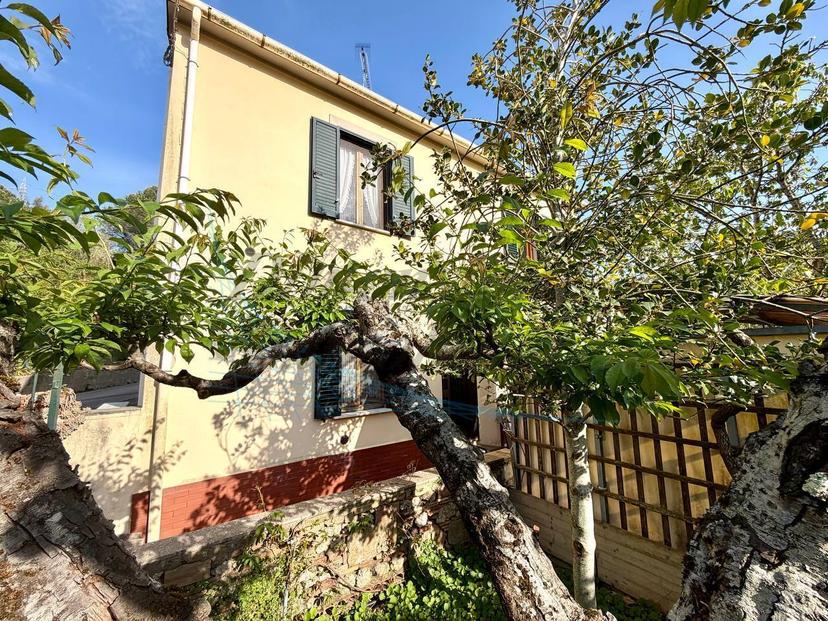 Casa indipendente in Piazza Giosuè Carducci, Rosignano Marittimo — foto 4 di 5