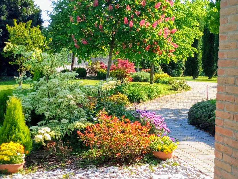 Villa in Via Frapiero, Correzzola — foto 5 di 5