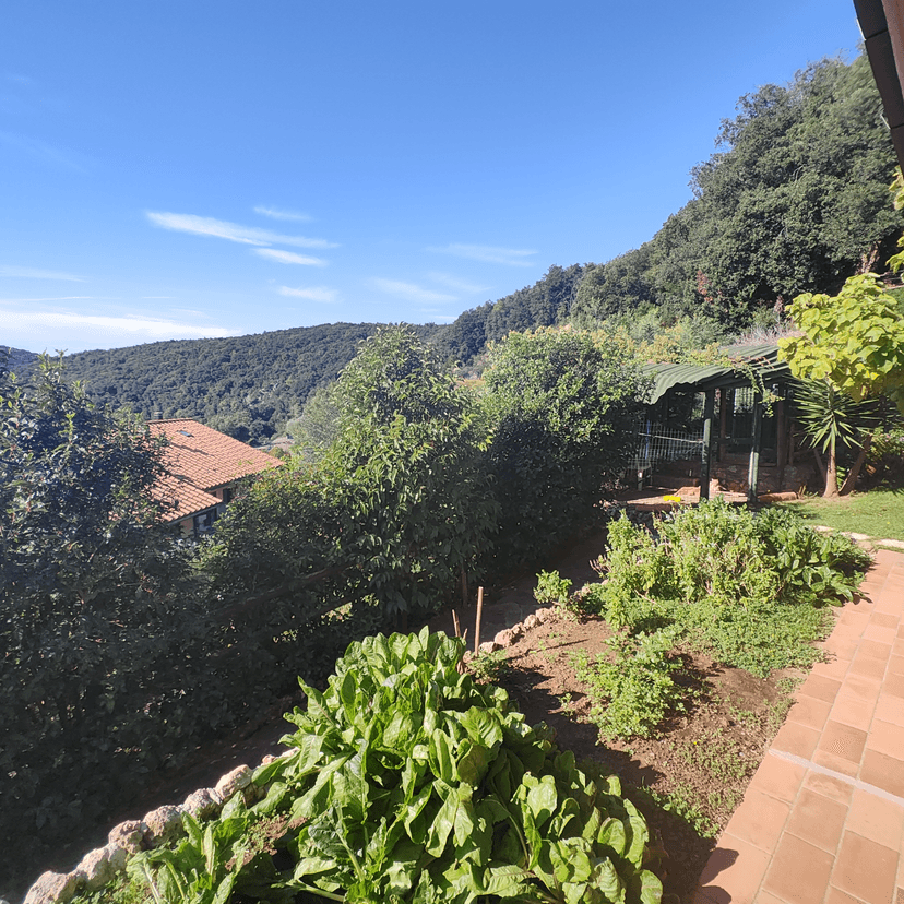 Villa unifamiliare in Strada Provinciale Campagnatico, Campagnatico — foto 2 di 5