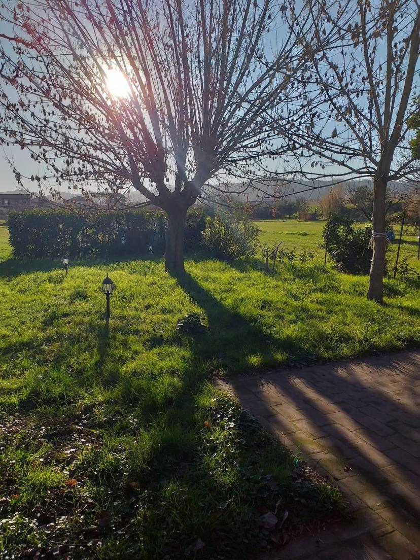 Villa, Santo Stefano di Magra — foto 2 di 3