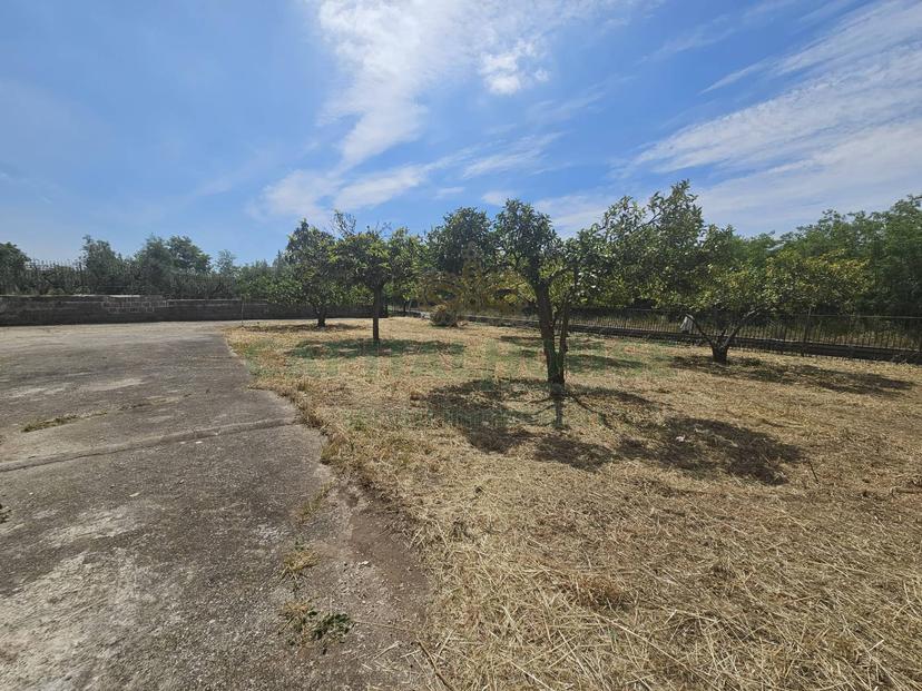 Casa indipendente in Casilina, Pignataro Maggiore — foto 3 di 5
