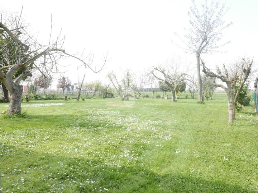 Casa indipendente in Via Erbosa 16, Forlì — foto 4 di 5