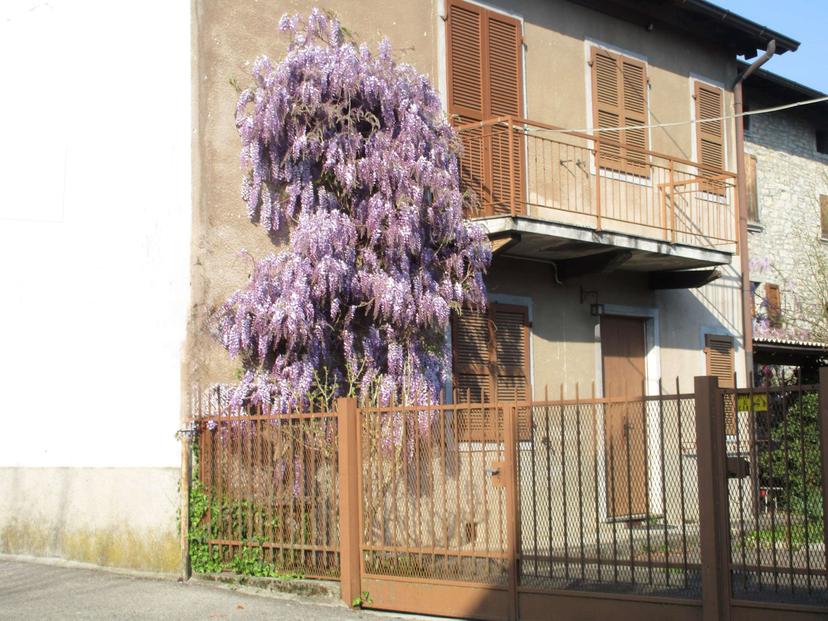 Porzione di casa in Via Trieste, Berbenno — foto 4 di 5