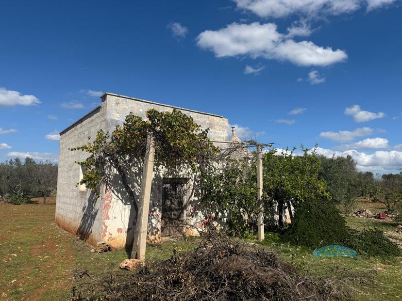 Trullo in Contrada Capece, Francavilla Fontana — foto 2 di 5