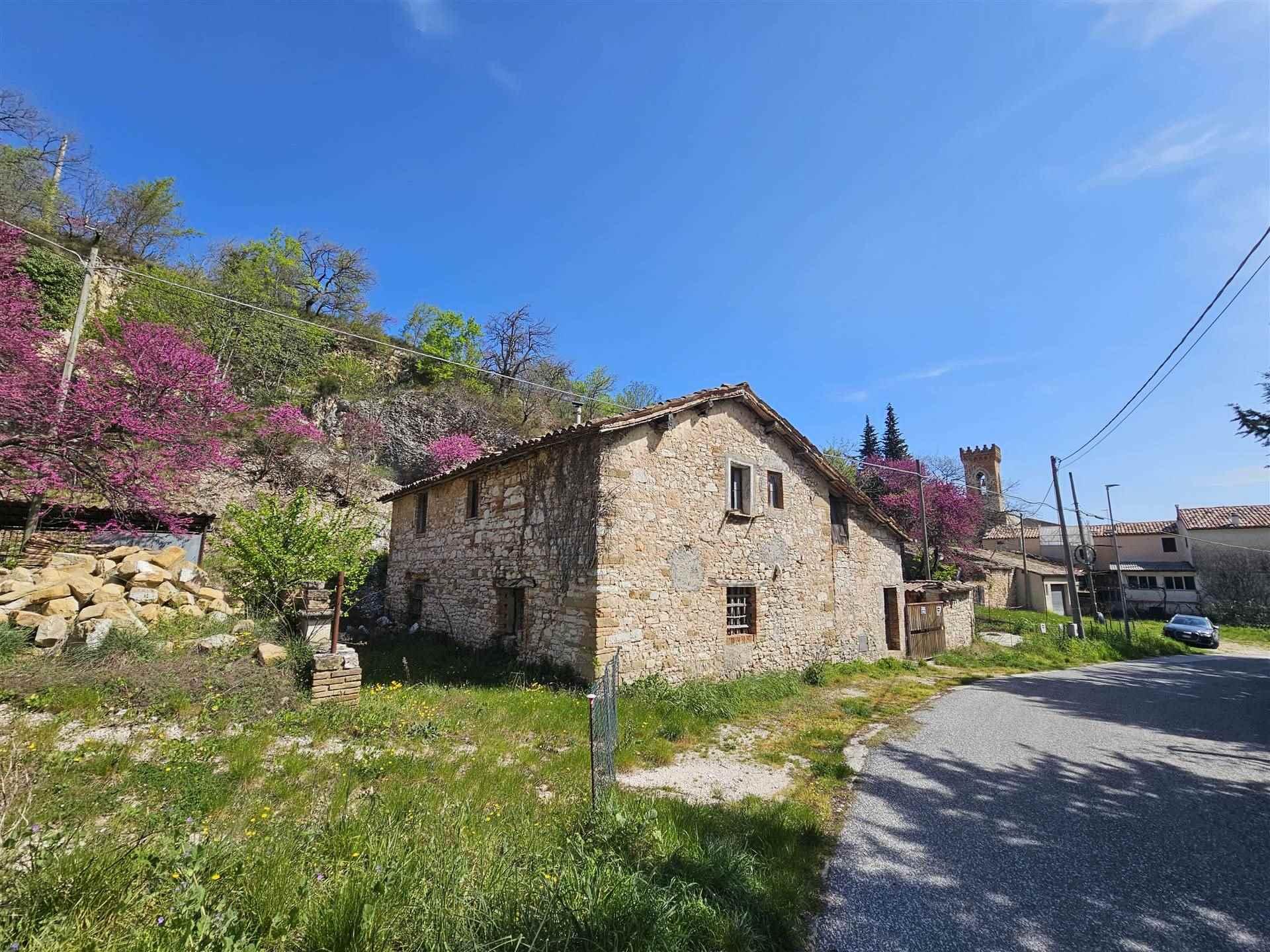 Rustico, Serrapetrona