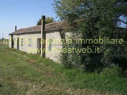 Casa indipendente in Via Fenilon 13/a, Cavarzere — foto 3 di 5