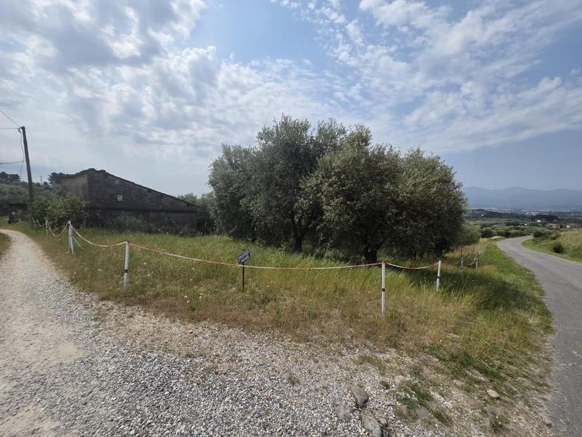 Cascina in 55015 Montecarlo Lu 55015, Montecarlo — foto 3 di 4