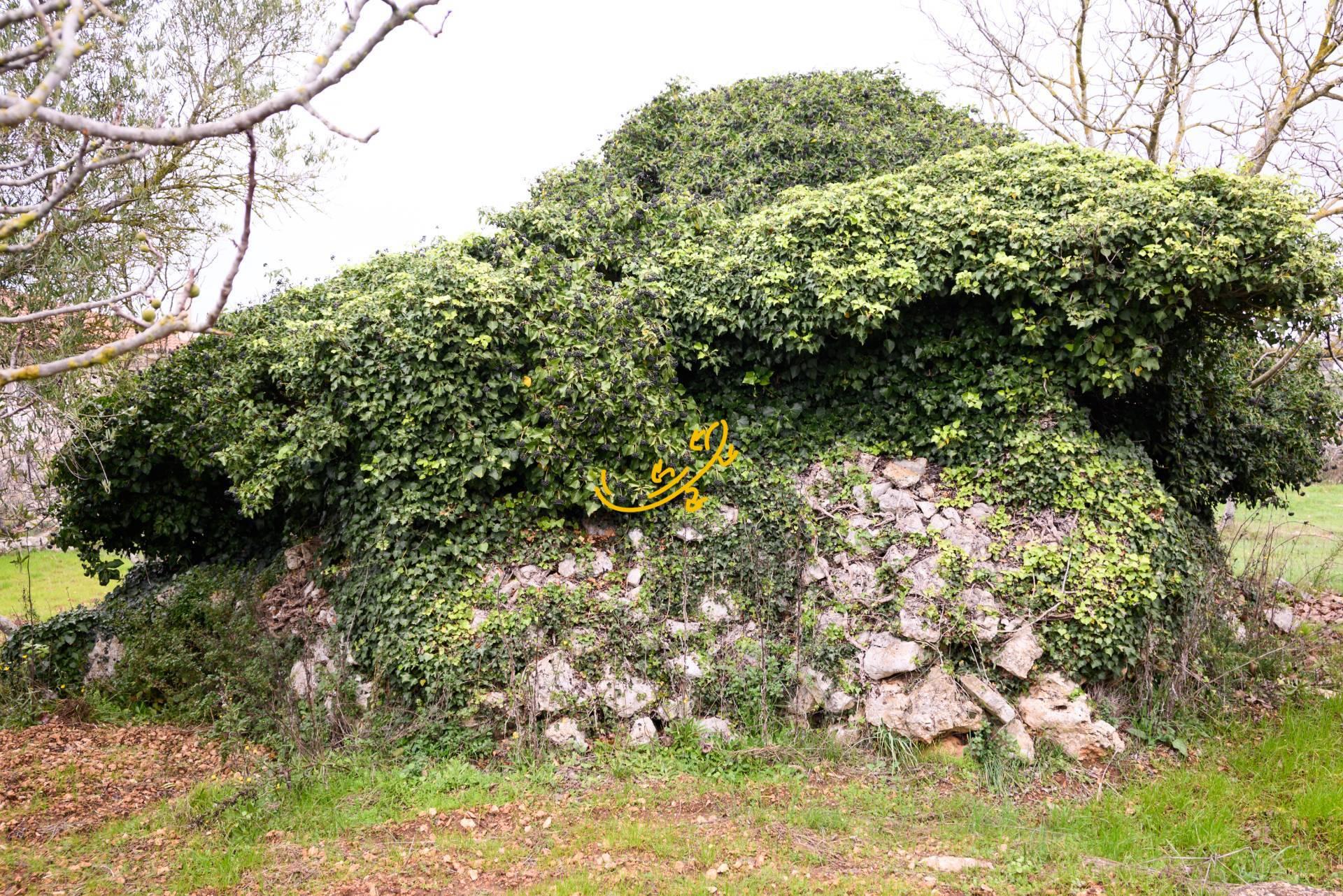 Abitazione tipica in C. da Santa Maria del Soccorso, Noci