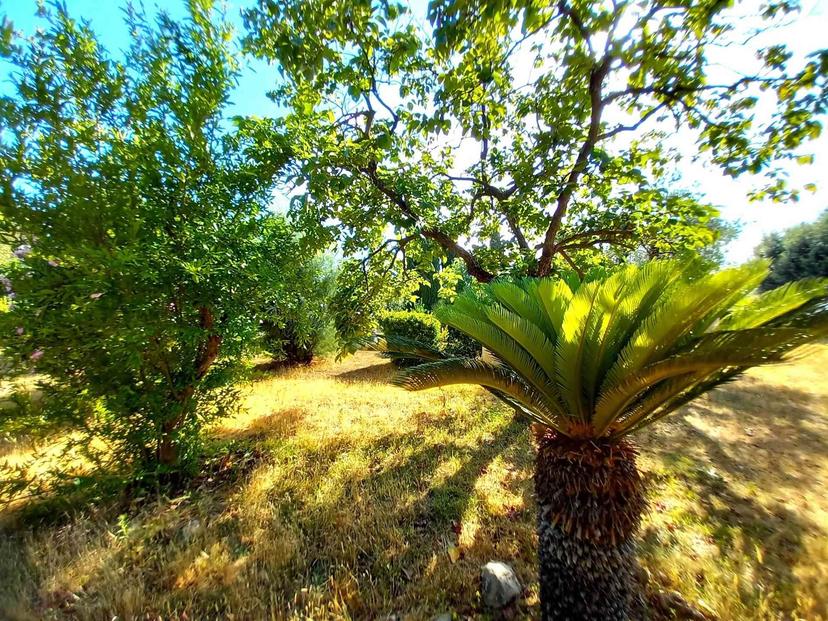 Villa in Via Bolgherese, Castagneto Carducci — foto 4 di 5