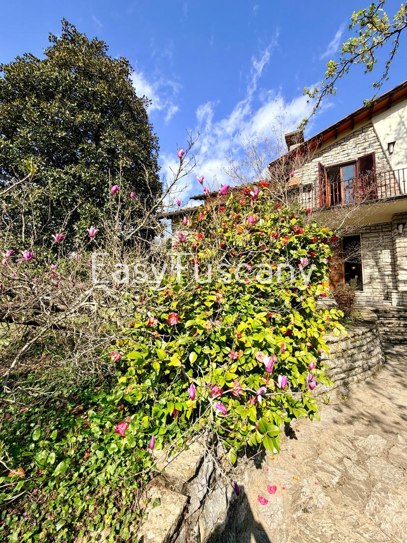 Villa in Piazza Domenico Martini 16c, Borgo a Mozzano — foto 5 di 5