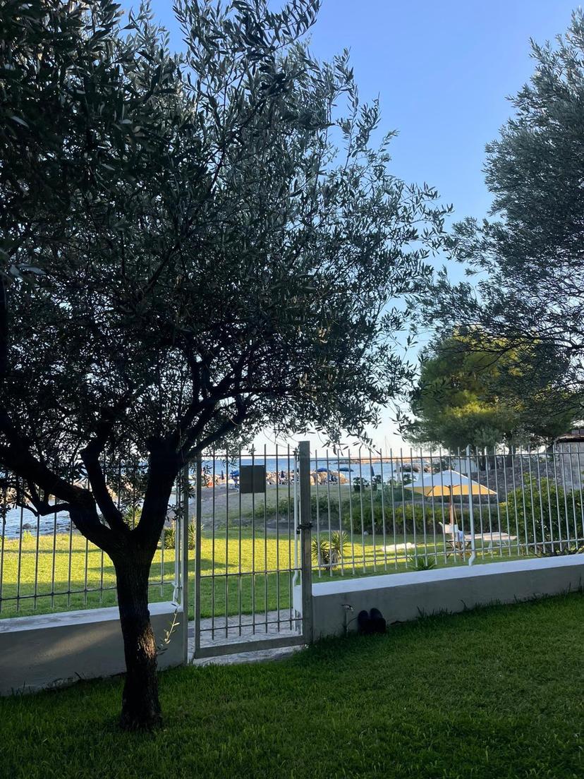 Villa, San Giovanni a Piro — foto 5 di 5