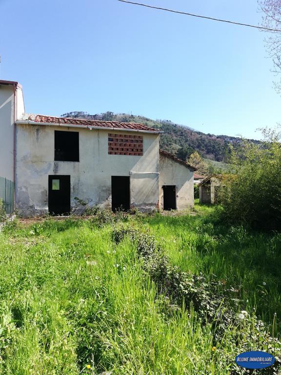Rustico, Massarosa — foto 2 di 5