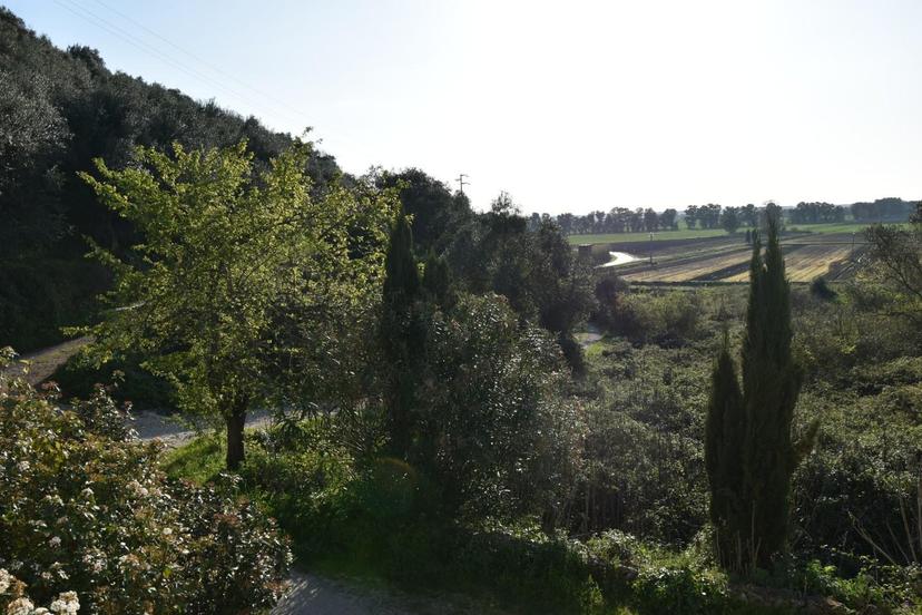 Terratetto, Vecchiano — foto 5 di 5