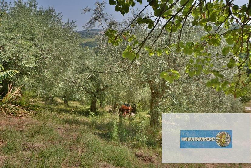 Casa indipendente in C.da Santo Stefano 35, Macerata — foto 5 di 5