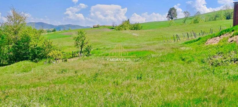 Villa unifamiliare, Colli Verdi — foto 4 di 5