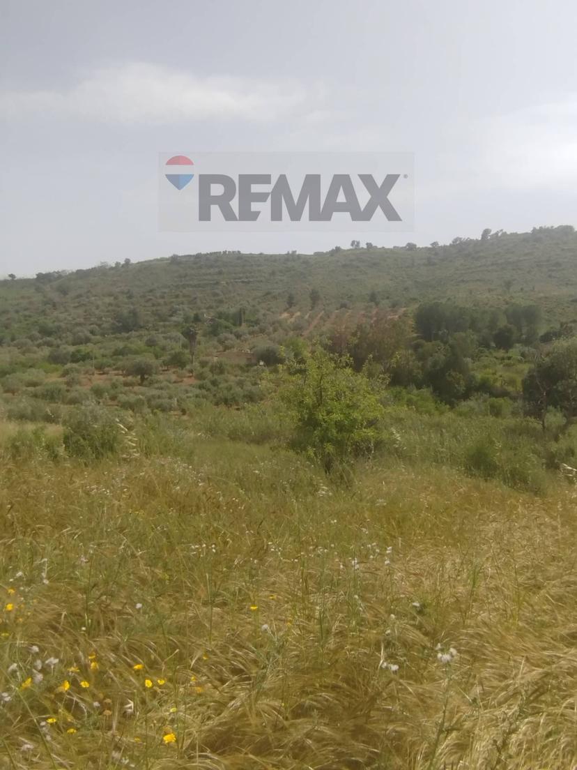 Villa in Via Venanzio Marvuglia Snc, Caltagirone — foto 5 di 5