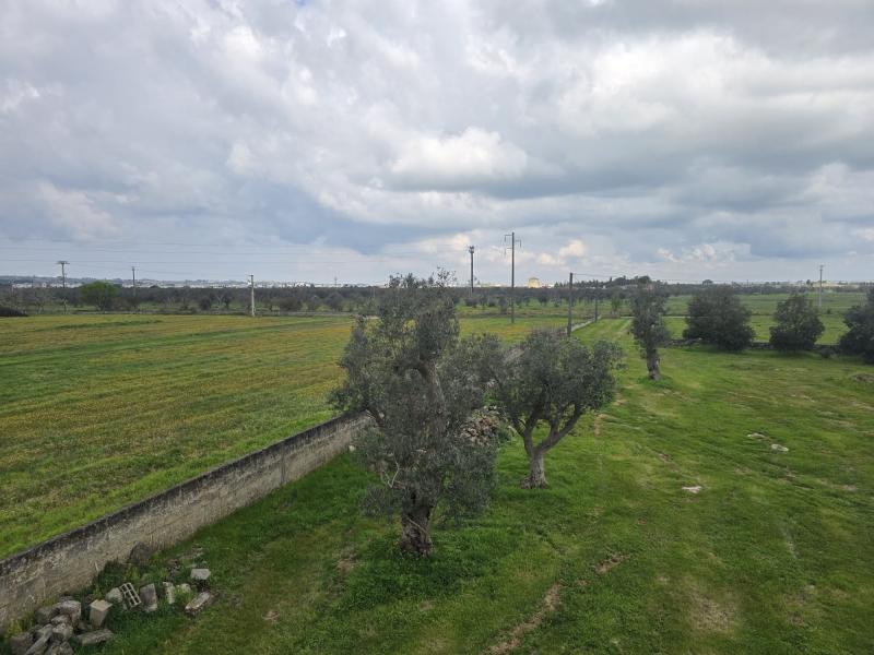 Masseria, Lecce — foto 2 di 5