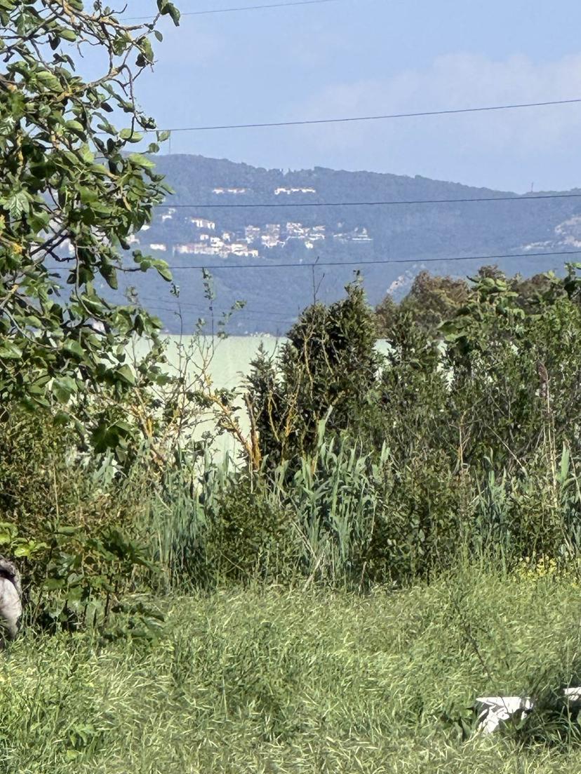 Rustico in Via dell'Edilizia, Follonica — foto 3 di 5