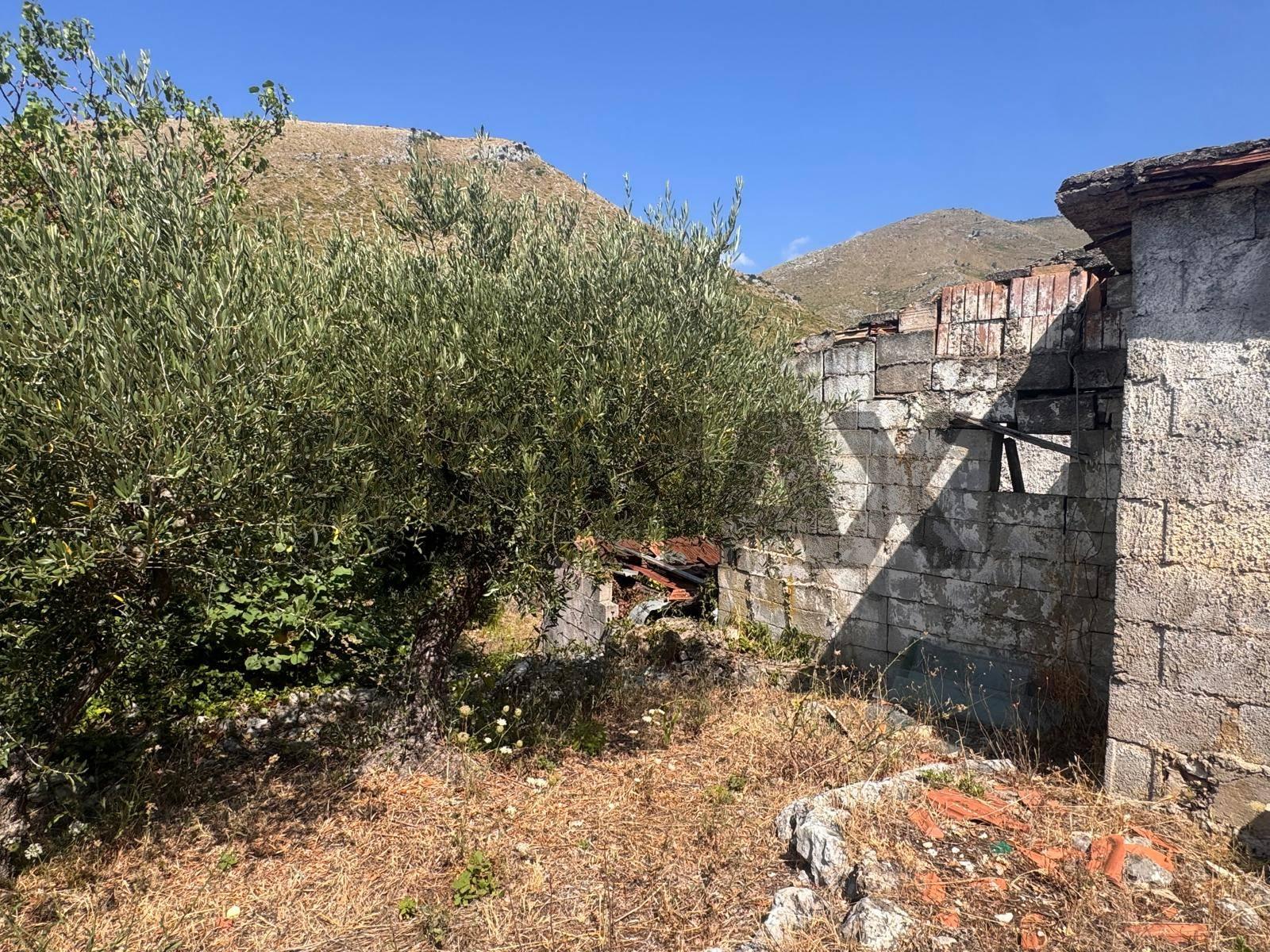 Rustico, Formia