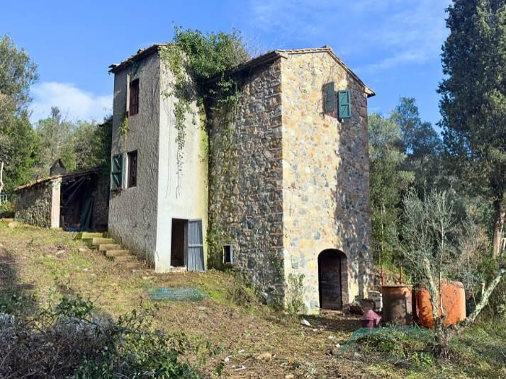 Casa colonica, Riparbella