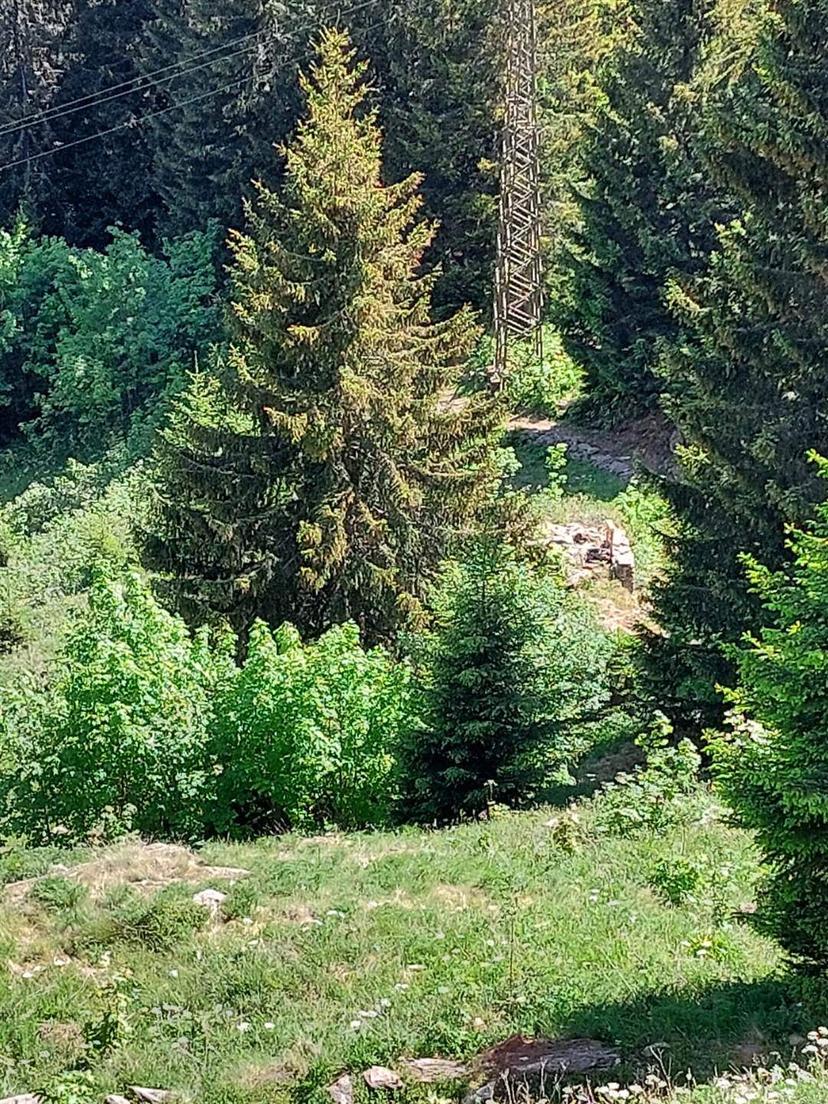 Rustico in Scalcoggia, Madesimo — foto 5 di 5