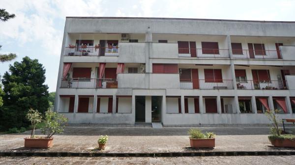 Trilocale in Via San Giorgio, Cassolnovo — foto 2 di 5