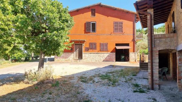 Villa in Località San Giovanni, Collazzone — foto 4 di 5