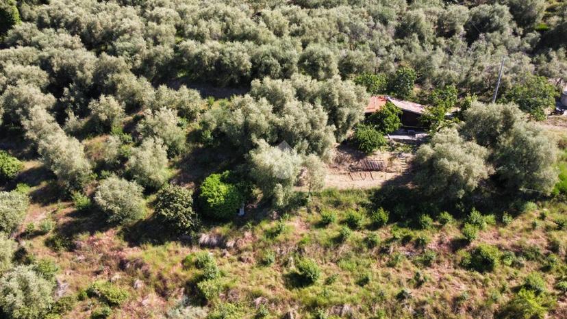 Rustico in Località Villa, Perinaldo — foto 3 di 5