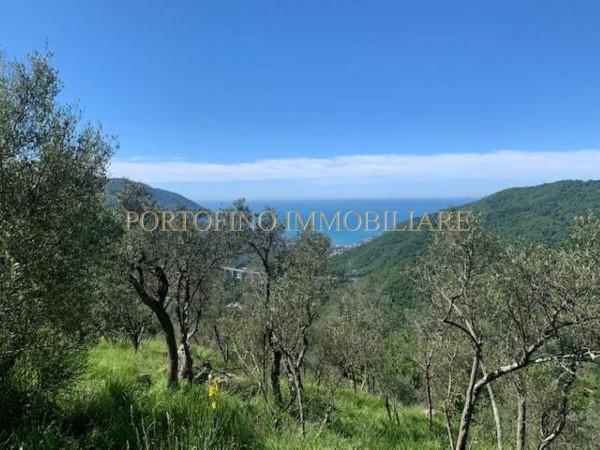 Rustico, Avegno